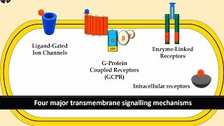 Receptors and Second Messenger system; G-protein, Enzyme linked and Ligand gated ion channels