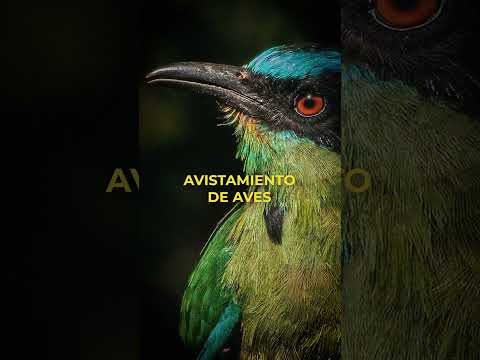 🌿  #LaRutaVerde | Esta #SemanaSanta, te invitamos a viajar diferente.