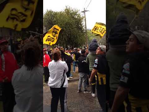 "La Banda Mostro | Previa: Alte. Brown vs. Sacachispas" Barra: La Banda Monstruo &bull; Club: Almirante Brown