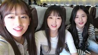 【日本語字幕】アイズワン活動記録1 ウォニョンが一番かわいかった頃 【LE SSERAFIM】【IVE】Wonyoung Yujin Minju  Sakura Hitomi Nako【IZONE】