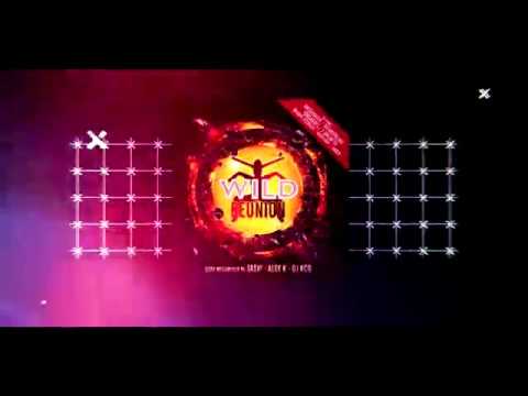 Wild Reunion Vol. 4 - Mixed by Sash!, Alex K & KCB