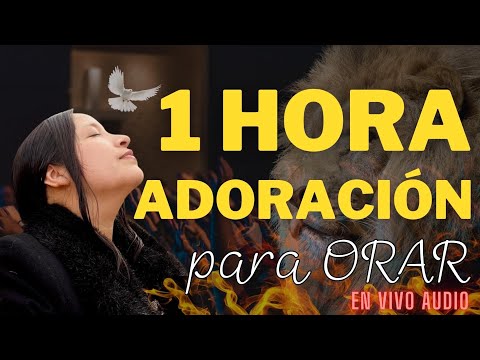 1 Hora de ADORACIONES para FLUIR EN EL ESPÍRITU SANTO I Nora Camargo