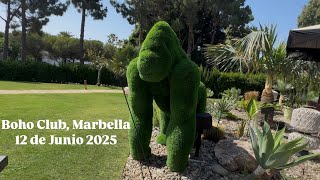 El desayuno del Boho Club: excelencia y sabor en Marbella 12 de Junio 2025 Marbe