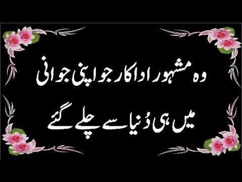 Watch lagu Images Videos Pakistani Actress Tahira Naqvi, Watch Images Pakistani Actress Tahira Naqvi free Watch, Watch Images Pakistani Actress Tahira Naqvi