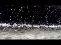 New Order - Turn  "Remaster Version" + [ English Lyrics ]