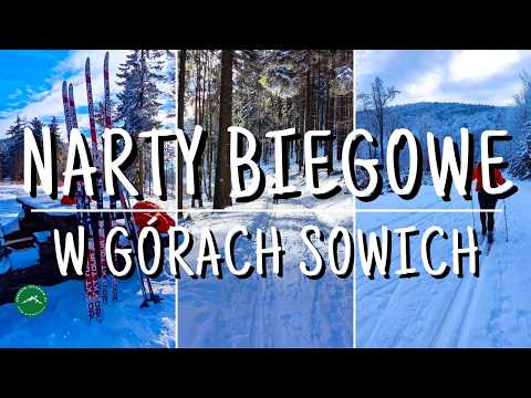 NARTY BIEGOWE W GÓRACH SOWICH - Jak zacząć pierwszą przygodę z biegówkami?