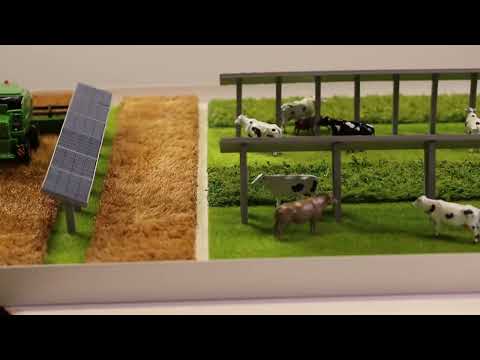 園芸 アルミニウム工場、Piléa du père Cadière、Piléa de Cadier