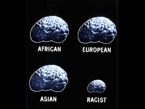 D.SA - ODA A UN RACISTA