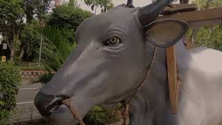 Download lagu Negeri Ngawi Ramah - IFStar Team mp3 Download lagu Negeri Ngawi Ramah - IFStar Team mp3