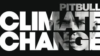 Pitbull ft Ty Dollar $ign - Better On Me (Wideboys Birmingham Organ Mix)