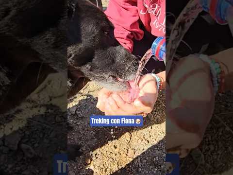 Treking Petfriendly Córdoba- Bialet Masse