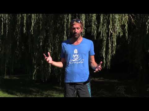 The path to 3 minutes of breath holding with Nik Linder