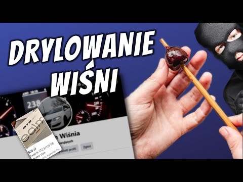 OSZUST TROLLUJE - SKRADZIONO MU KONTO, MA IP WSZYSTKICH, A WSZYSTKIEMU WINNY PiS - DRYLOWANIE WIŚNI