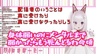 【切り抜き】検索避けワードも把握済なVTuber【なまほしちゃん】