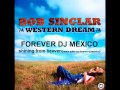 BOB SINCLAR - SHINING FROM HEAVEN REMIX (edith by forever dj mexico)