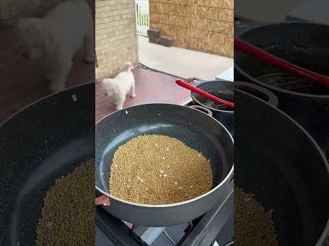 Alborotos hondureños