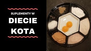 BARF - suplementy w diecie kota