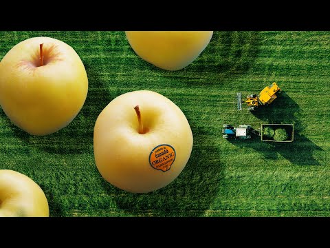 Building sustainable food systems - Beyond