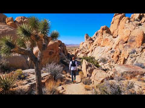 Hiking Joshua Tree Maze, Window and the North View Trail Grand Loop | Full Hike POV