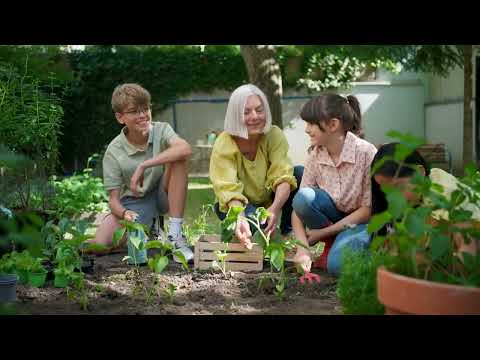 Active Learning in Education: Transforming the Classroom Experience (7 Minutes)