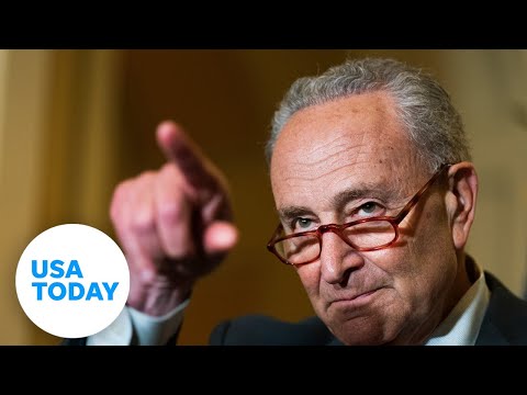 Schumer promises 'quick action' on bipartisan gun reform bill USA TODAY