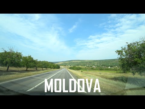 Best of #ASOT1092 | D72 - Finding Yourself, Shogun – Cielo, Elevven - Shallow (Daniel Kandi Remix)