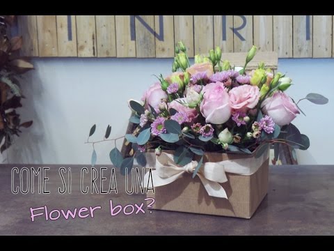 download lagu mp3 mp4 Fiori In Scatola, download lagu Fiori In Scatola gratis, unduh video klip Fiori In Scatola