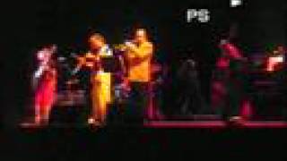 Mahattan Jazz & Borneo Guitar