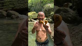 Download lagu Playing with children using toy poop #viral #creative #art mp3 Download lagu Playing with children using toy poop #viral #creative #art mp3