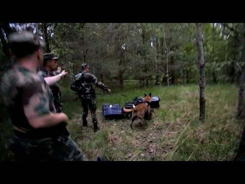 Kontrabandą gabenusių Baltarusijos piliečių paieška Švenčionių rajono miškuose