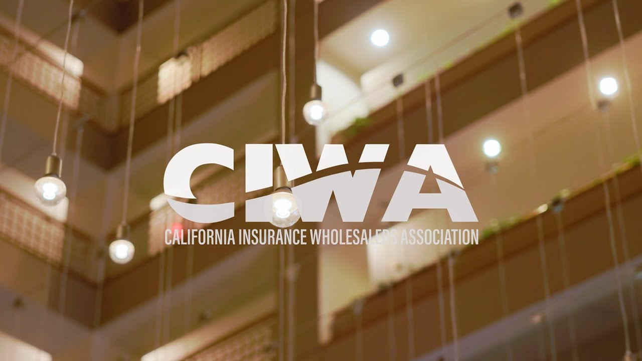 Hear from CIWA event attendees...