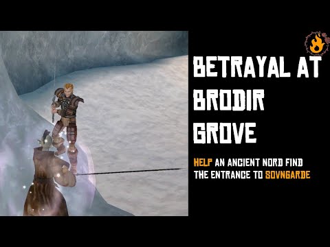 Betrayal at Brodir Grove - Side Quest Walkthrough (TES III Morrowind: Bloodmoon)