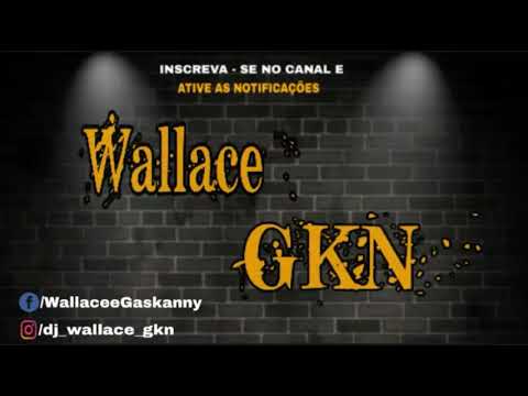 RAVE DOS FLUXOS 2  - MC GW (PROD TWO MALOKA)