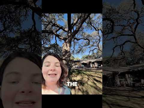 The Halloween portal house