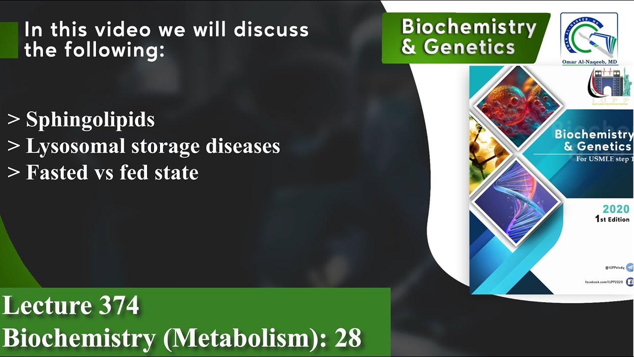 Sphingolipids | Lysosomal storage diseases | Fasted vs fed state