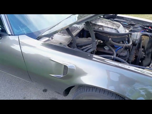 1213832 Pontiac Firebird Trans Am 6.6 V8 Manual, 182hp, 1978