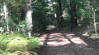preview picture of video 'Bay Circuit Trail : Sharon MA Beaver Brook Part 1.'