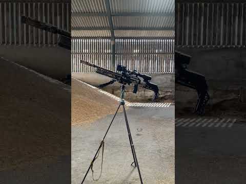 Primos ￼Trigger sticks with Ball head supporting Fx Maverick .