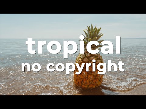 🌴 [Non Copyrighted Music] @tellyourstorybyikson - Anywhere [Tropical House]