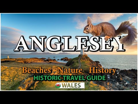 Anglesey Adventure: Ancient Ruins, Beaches, Rare Anglesey RED SQUIRRELS - North Wales