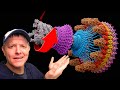 Nature S Incredible ROTATING MOTOR It S Electric Smarter Every Day 300