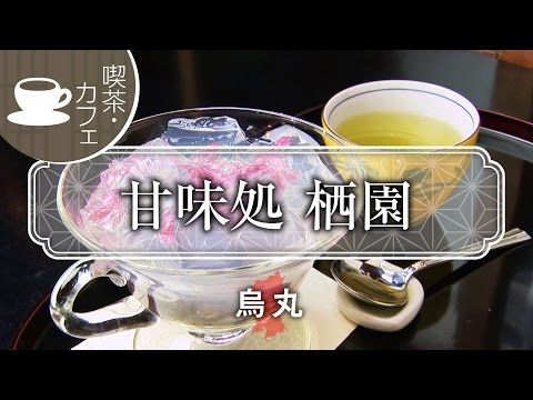 Una cafetería de dulces japonesa de larga trayectoria Tienda de dulces Seien / Kyoto Iikoto Vídeo