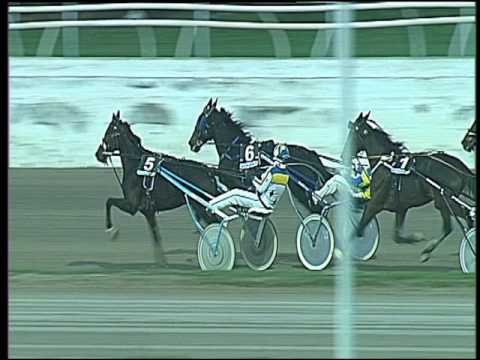 Trotto 20/11/2016 - 4ª corsa