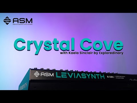 ASM Leviasynth Keyboard 16-Voice Polyphonic Hybrid Algorithmic Synthesiser image 7