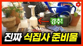 [노하우] 딱 이것만 있으면 됩니다, 식물 키울때 반드시 필요한 것들ㅣ물조리개, 물뿌리개는 이걸로 쓰세요ㅣ분…