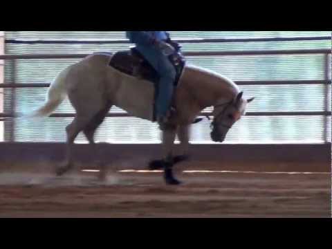 Chex Bella Cremadona 3-26-13