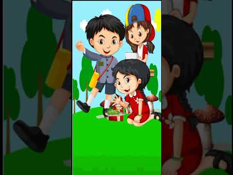 বর্ণমালা শিশু শিক্ষা