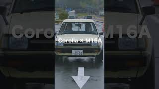 オプション　カローラ