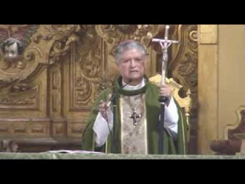 Homilía del 17 de noviembre de 2013