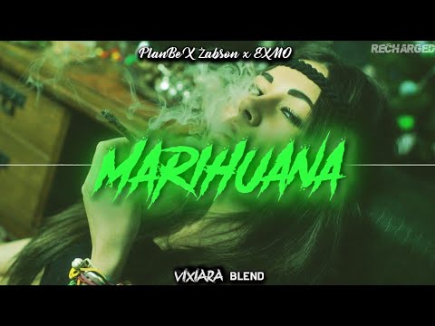 🍀PlanBe X Żabson x EXMO - Marihuana (Vixiara blend)🍀